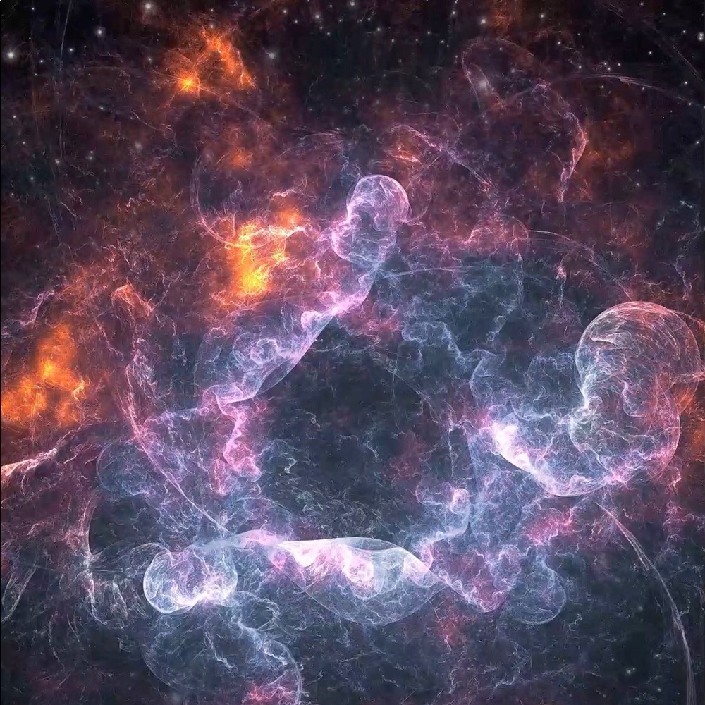 Meet your Posher, Larry